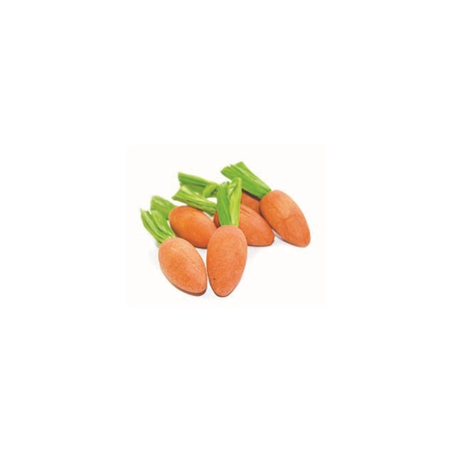Critter's Choice Happy Pet Carrot Nibblers Knaaghout 8X3X3 CM 6 ST