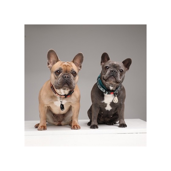 Tickless - Teek & Vlo Afweer, Hond & Kat. Zwart