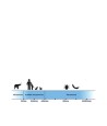 Tickless - Teek & Vlo Afweer, Hond & Kat. Zwart
