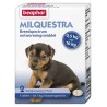 Beaphar - Milquestra Kleine Hond / Pup. 2 Tabletten