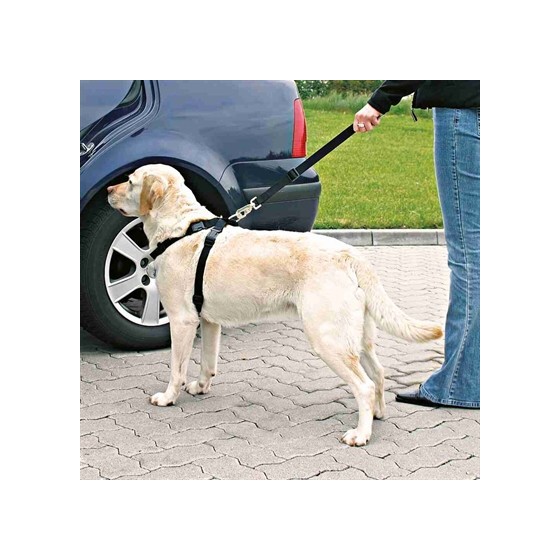 Trixie Hondentuig Auto Inclusief Gordel Zwart 70-90 CM