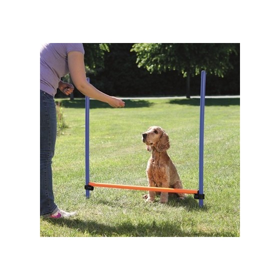Trixie Dog Activity Agility Horde Blauw / Oranje 123X115X3 CM