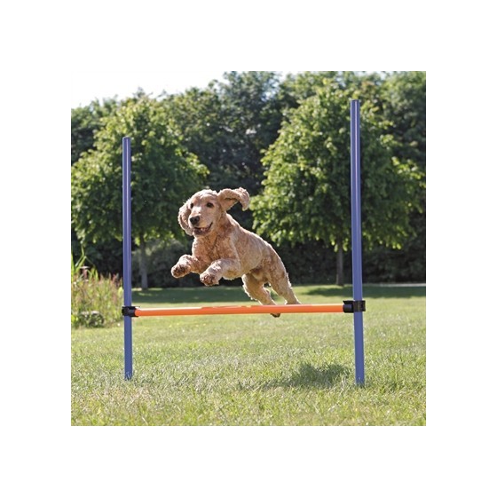 Trixie Dog Activity Agility Horde Blauw / Oranje 123X115X3 CM
