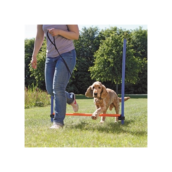 Trixie Dog Activity Agility Horde Blauw / Oranje 123X115X3 CM