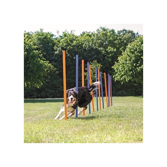 Trixie Dog Activity Agility Slalom Stokken Blauw / Oranje 115X3 CM 12 ST