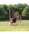 Trixie Dog Activity Agility Slalom Stokken Blauw / Oranje 115X3 CM 12 ST
