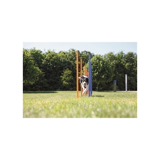 Trixie Dog Activity Agility Slalom Stokken Blauw / Oranje 115X3 CM 12 ST