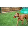 Happy Pet Atomic Bal Aan Touw Assorti 35X7X7 CM