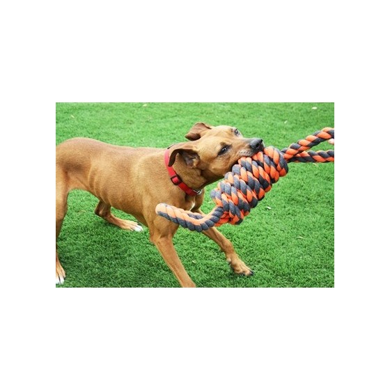 Happy Pet Nuts For Knots Extreme Spoel 8 Vorm Tugger Grijs / Oranje 55X11X11 CM