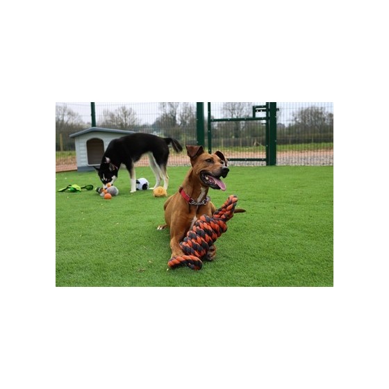 Happy Pet Nuts For Knots Extreme Spoel 8 Vorm Tugger Grijs / Oranje 55X11X11 CM