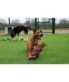 Happy Pet Nuts For Knots Extreme Spoel 8 Vorm Tugger Grijs / Oranje 55X11X11 CM