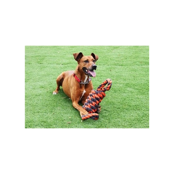 Happy Pet Nuts For Knots Extreme Spoel 8 Vorm Tugger Grijs / Oranje 55X11X11 CM