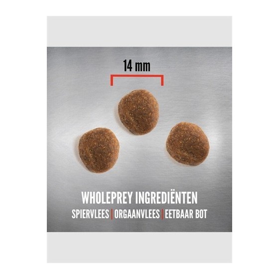 Orijen Whole Prey 6 Fish Dog 6 KG