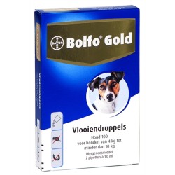 Bolfo - Gold Hond...