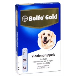 Bolfo - Gold Hond...