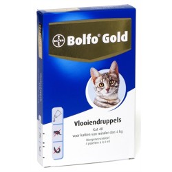 Bolfo - Gold Kat...