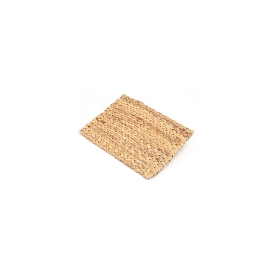 Rosewood Chill 'N' Chew Knaagmat 33X24 CM