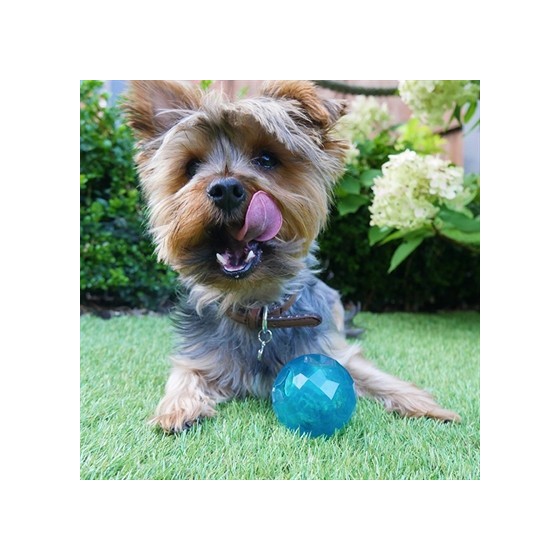 Biosafe Puppy Snack Bal Blauw 6,5X6,5X6,5 CM