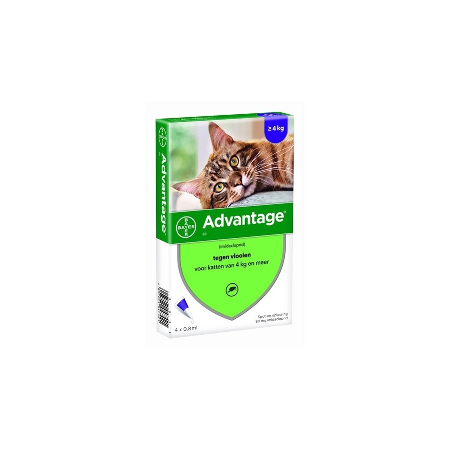 Bayer Advantage Kat 80 VANAF 4 KG 4 PIP