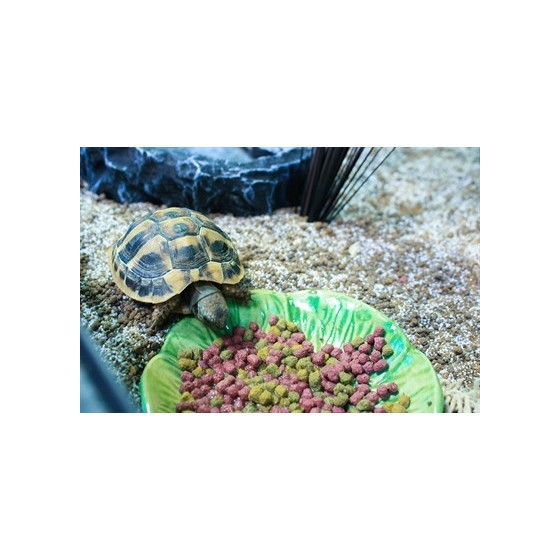 Happy Pet Voerbak Green Leaf Groen