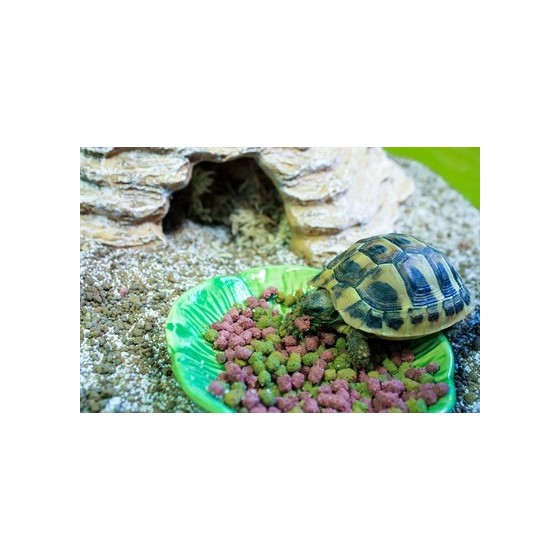 Happy Pet Voerbak Green Leaf Groen