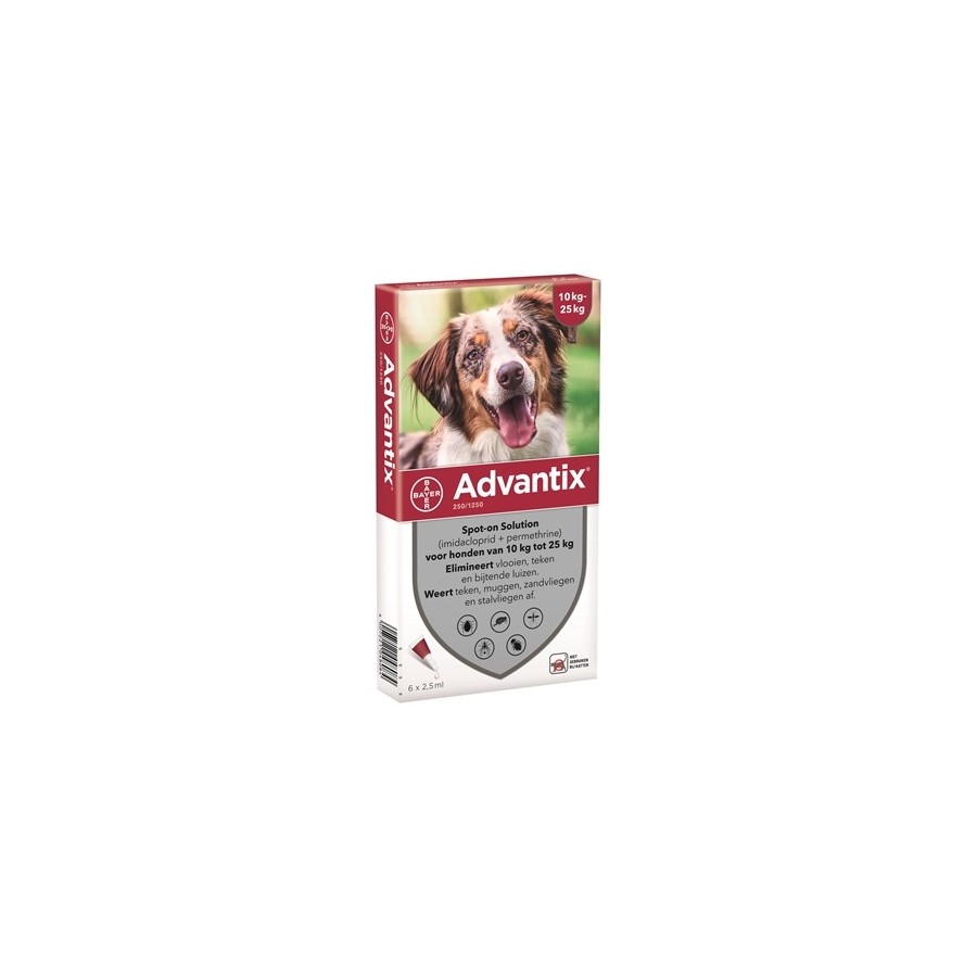 Bayer Advantix Spot On 250/1250 10-25 KG - 6 PIP