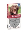 Bayer Advantix Spot On 400/2000 25+ KG - 6 PIP