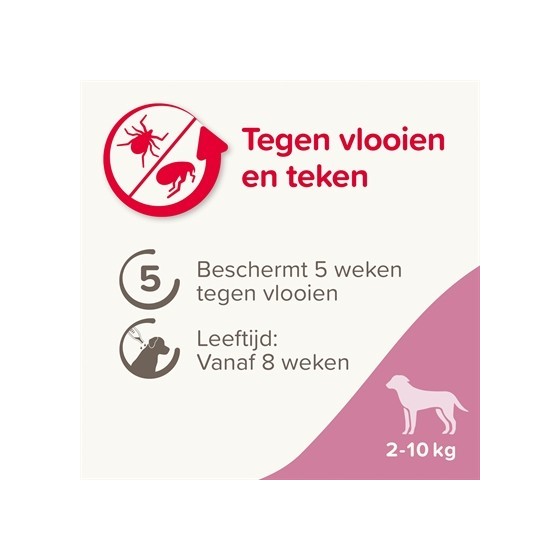 Beaphar Fiprotec Hond Tegen Teken En Vlooien 2-10 KG 3+1 PIP