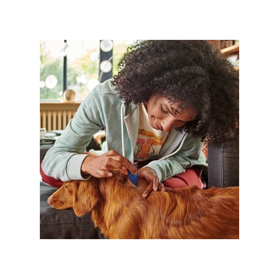 Beaphar Fiprotec Hond Tegen Teken En Vlooien 2-10 KG 3+1 PIP