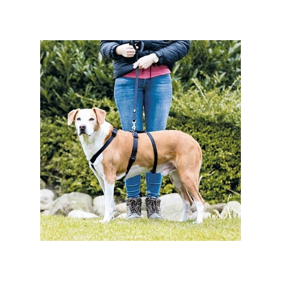 Trixie Hondentuig Stay Zwart L-XL 70-100 CM