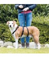 Trixie Hondentuig Stay Zwart L-XL 70-100 CM