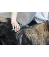 Trixie Vacht Ontvilter Gebogen Tanden 18 CM