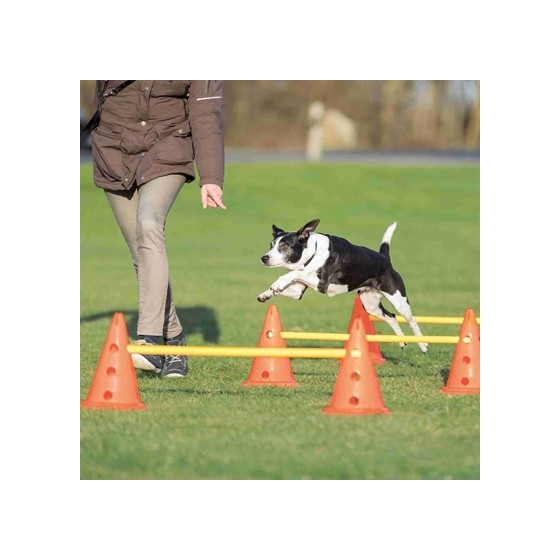 Trixie Dog Activity Hordenset 2 ST