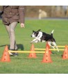 Trixie Dog Activity Hordenset 2 ST