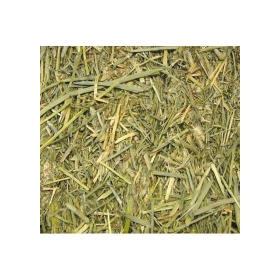 Beaphar - Care+ Timothy Hooi 1kg