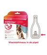 Beaphar Fiprotec Hond Tegen Teken En Vlooien 10-20 KG 3+1 PIP