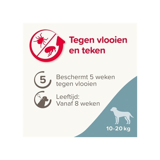 Beaphar Fiprotec Hond Tegen Teken En Vlooien 10-20 KG 3+1 PIP