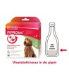 Beaphar Fiprotec Hond Tegen Teken En Vlooien 20-40 KG 3+1 PIP