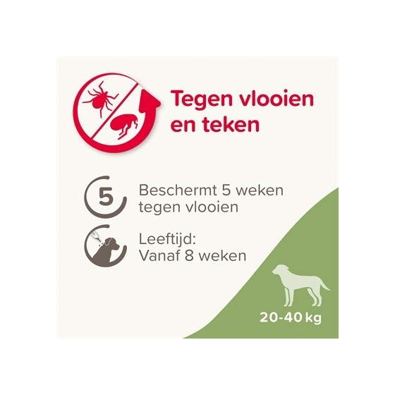 Beaphar Fiprotec Hond Tegen Teken En Vlooien 20-40 KG 3+1 PIP