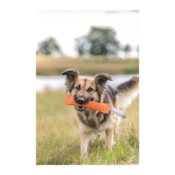 Trixie Sporting Trainingsdummy Assorti 26X6 CM 3 ST
