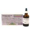 World Of Herbs Fytotherapie Krabben En Bijten 50 ML