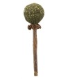 Trixie Matatabi Lolly Met Catnip 11 CM