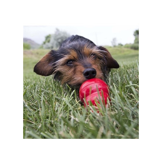 Kong Easy Treat Peanut Butter 226 GR