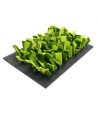 Rosewood Snuffelmat Knaagdier Zwart / Groen 29,5X20 CM
