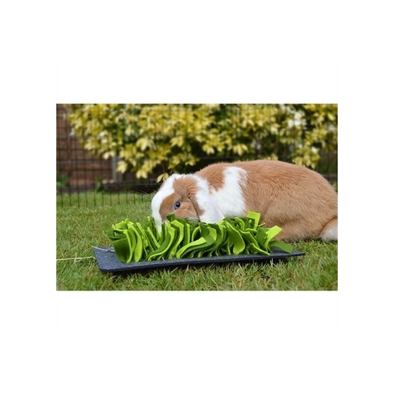 Rosewood Snuffelmat Knaagdier Zwart / Groen 29,5X20 CM