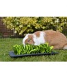 Rosewood Snuffelmat Knaagdier Zwart / Groen 29,5X20 CM