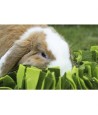 Rosewood Snuffelmat Knaagdier Zwart / Groen 29,5X20 CM