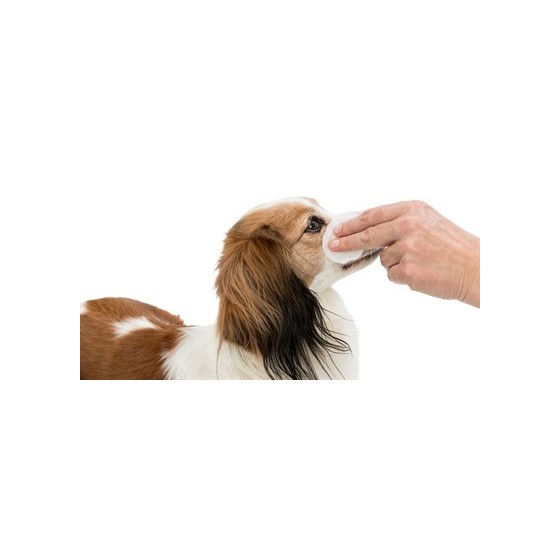 Trixie Eye Care Reinigingspads Voor Ogen 100 ST