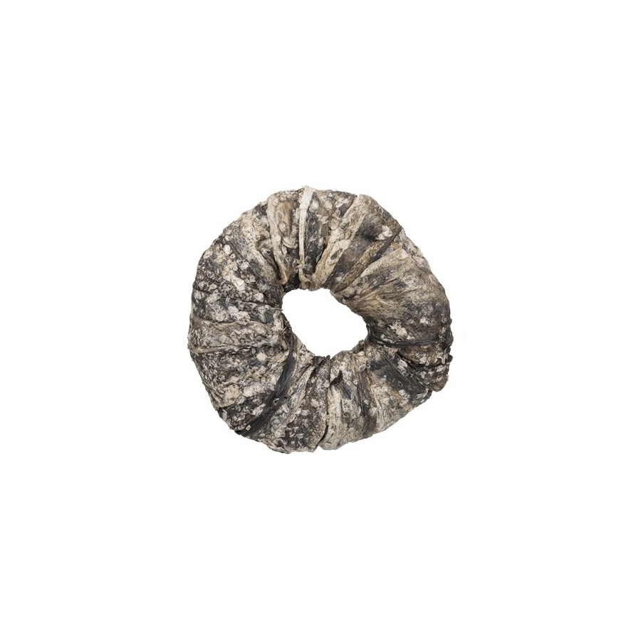 Trixie Denta Fun Kauwring Vis 10 CM 50 ST