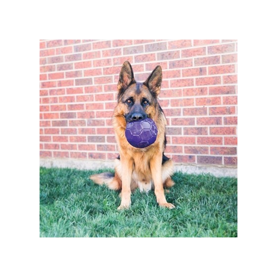 Kong Flexball Paars 15,5X15,5X15,5 CM